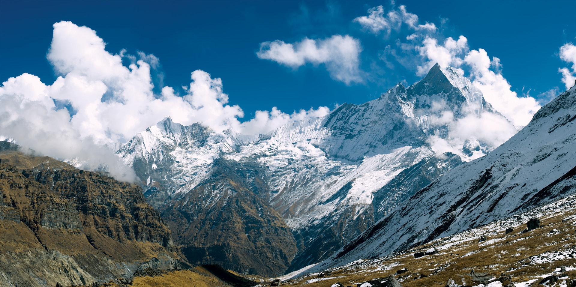 Nanda Devi East Base Camp Trek: Complete 2026 Guide