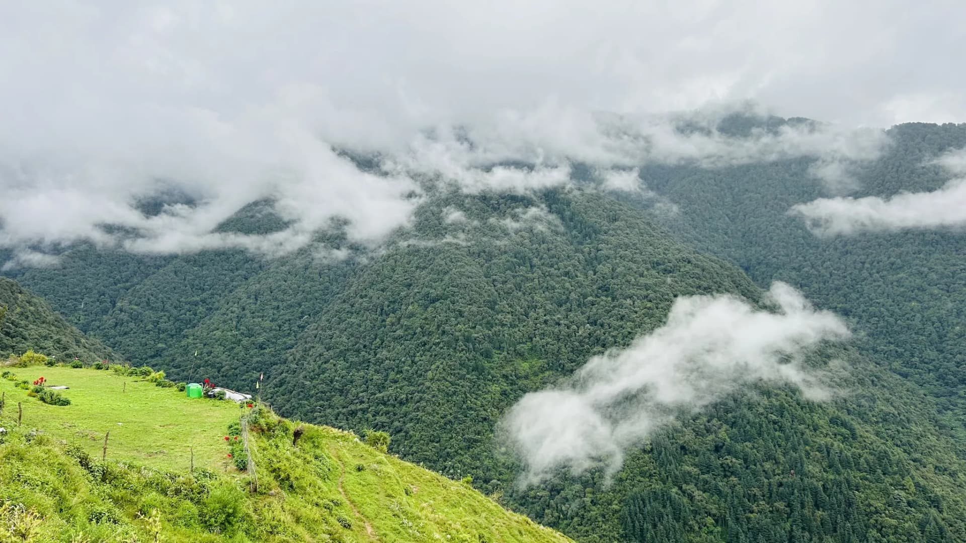 Nag Tibba Trek: Complete 2026 Guide for Weekend Trekkers