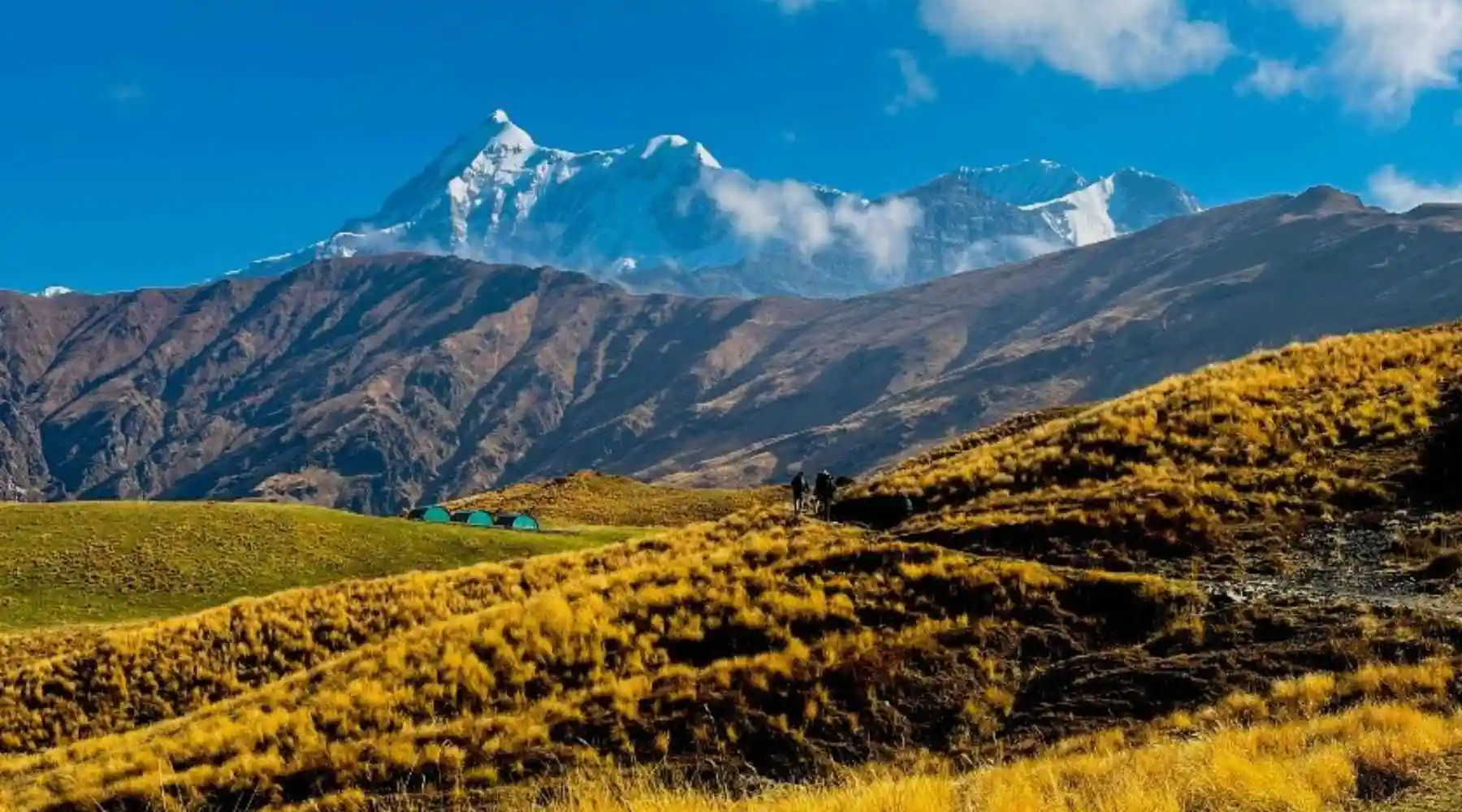 Ali Bedni Bugyal Trek: Complete Guide 2026