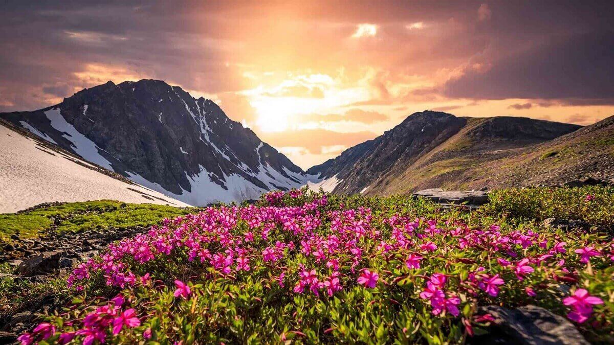 Valley of Flowers Trek 2026: Routes, Permits & Best Time